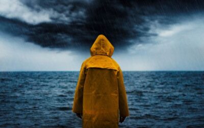 Surviving the Storm